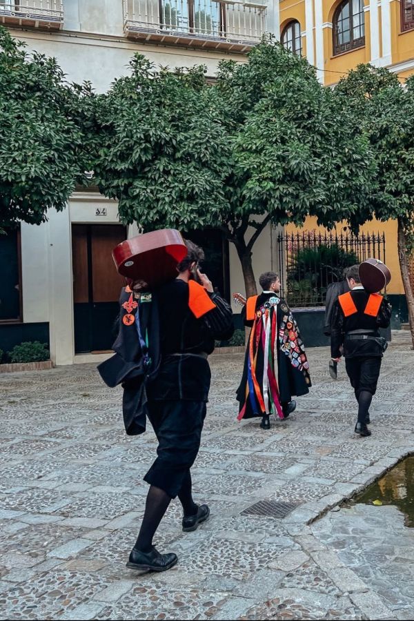 Seville Entertainment And Travel Guide › Seville | Spain | International Travel Guide