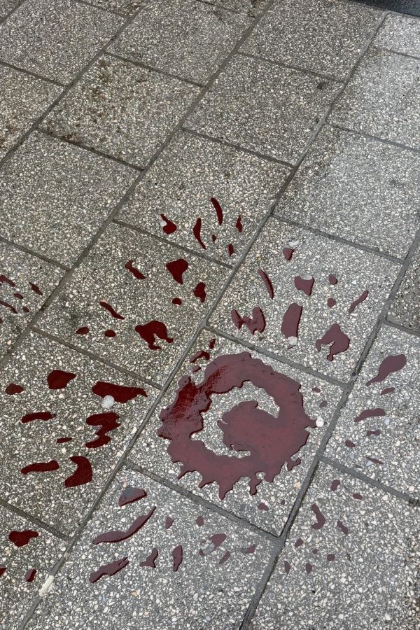 Saraybosna'dan Ne Alınır? › Saraybosna | Bosna-Hersek | Yurt Dışı Gezi Rehberi