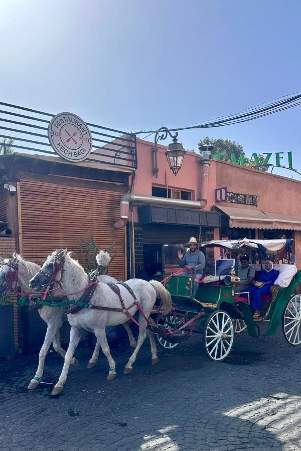 Marakeş Geziniz İçin Ulaşım Rehberi › Marakeş | Fas | Yurt Dışı Gezi Rehberi